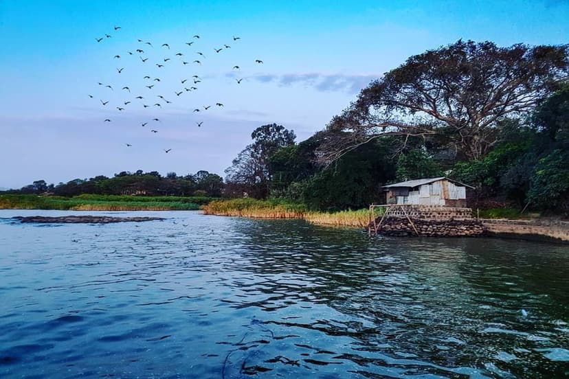 Lake Tana