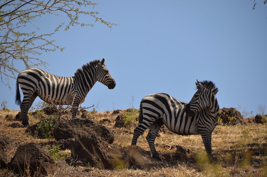 Nech Sar National Park